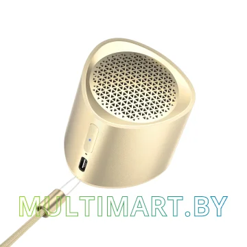 Беспроводная колонка Tronsmart Nimo (золотистый)
